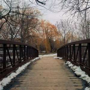 Buy phone number Brampton