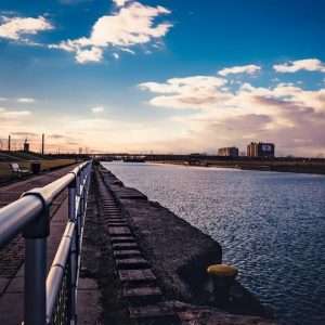 Buy phone number Buffalo