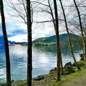 Buy phone number Burnaby