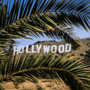 california phone number