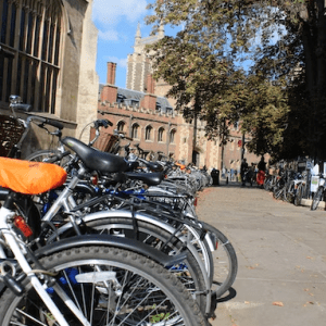 Buy Phone Number Cambridge