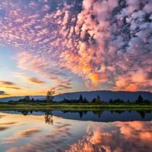 Buy Phone Number Kelowna