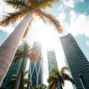 Buy phone number Miami