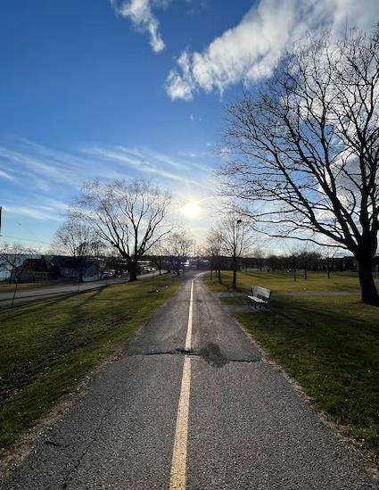 Buy phone number Oshawa