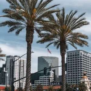 Buy phone number San Diego