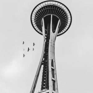 Buy phone number Seattle