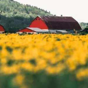 Buy Phone Number Shawinigan