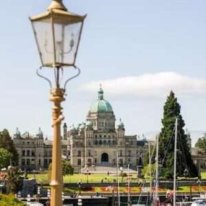 Buy phone number Burlington