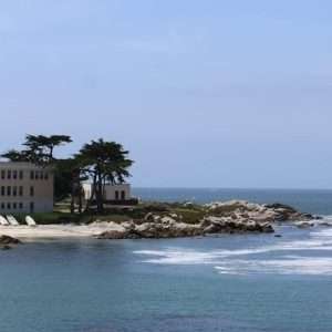 Buy phone number Monterey