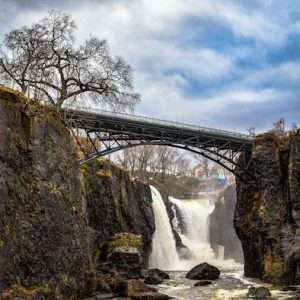 Buy phone number Paterson