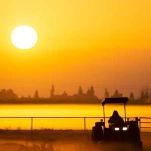 Buy phone number Fresno